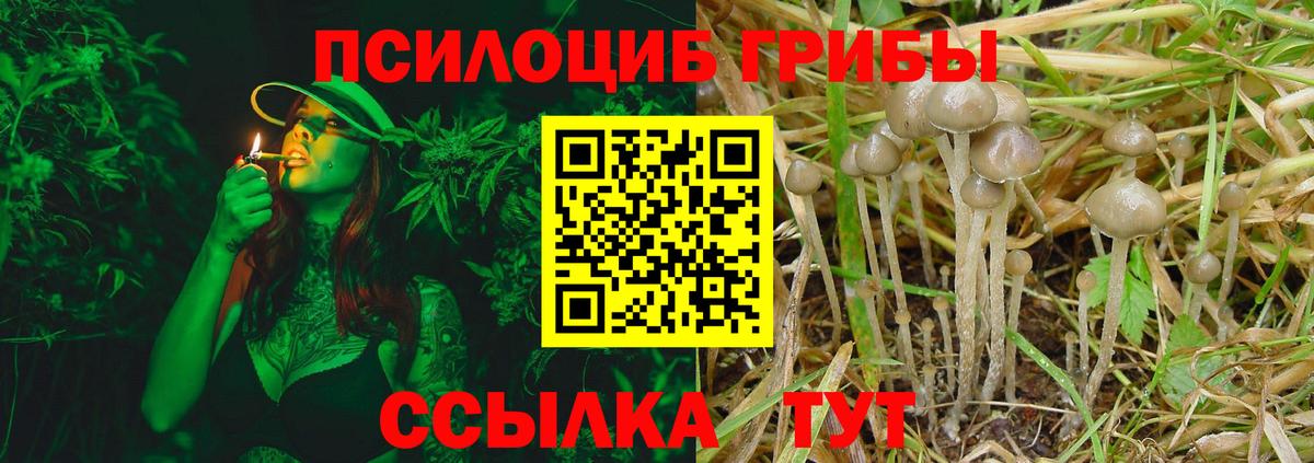 Псилоцибиновые грибы Psilocybine cubensis  Вход с VPN  Видное 