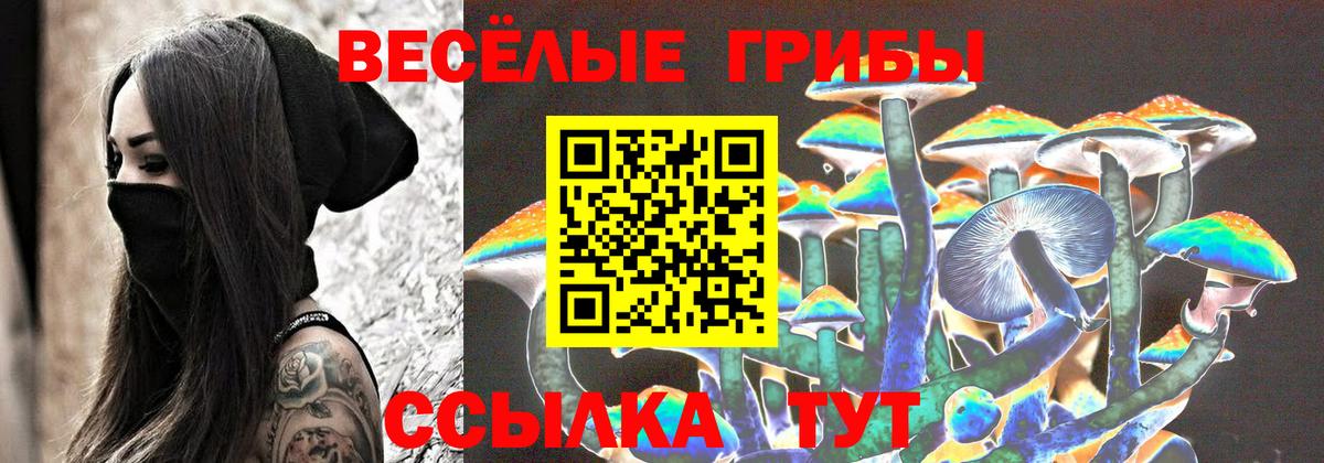 Псилоцибиновые грибы GOLDEN TEACHER Видное